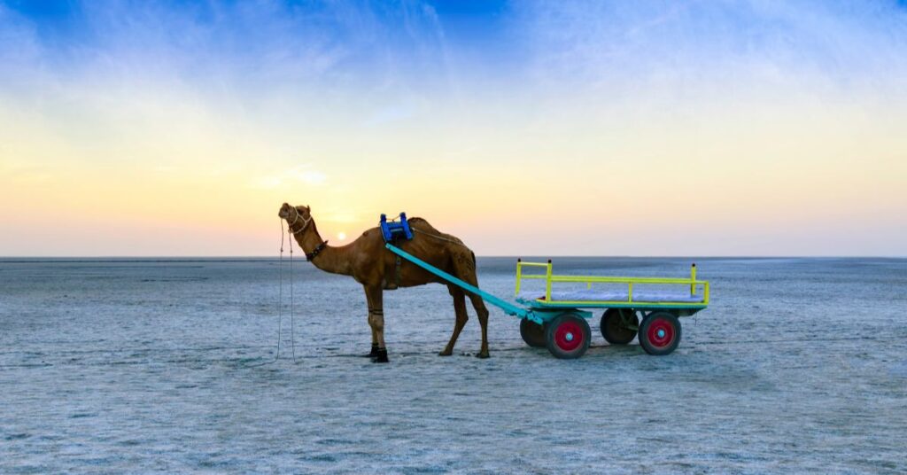 rann of kutch